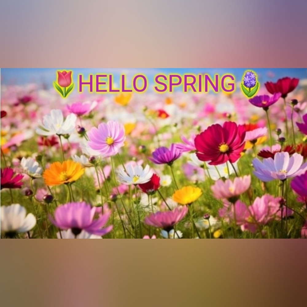 🌷🌼HELLO SPRING🌺🪻 - Picture 2 of 2